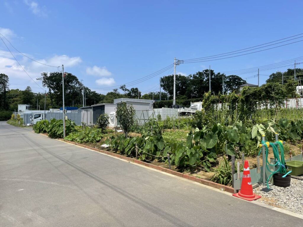 茅ヶ崎市 畑 289㎡